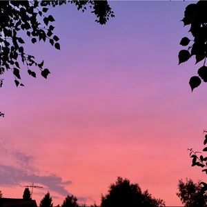 Meet your Posher, Ivy